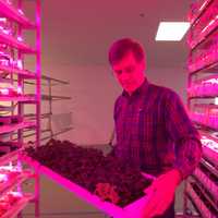 Couple Grows Garden of Greens Inside Old Bridgeport Factory