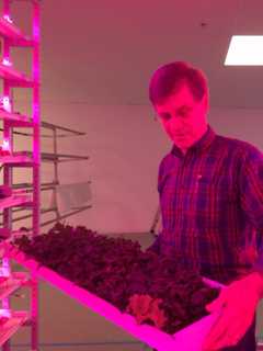 Couple Grows Garden of Greens Inside Old Bridgeport Factory