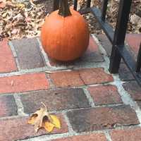 <p>Sleet is leaving an icy coating on Halloween pumpkins in Fairfield.</p>