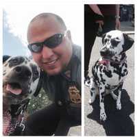 <p>Palisades Police Lt. Jimmy Rotundo adopted Sarge when he was 7 months old. Now 6, the pup knows just how to cheer his dad up after work: Kisses and tail wags.</p>