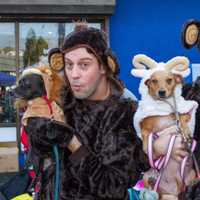 <p>Ossining residents show off their pets at the Pet Parade.</p>