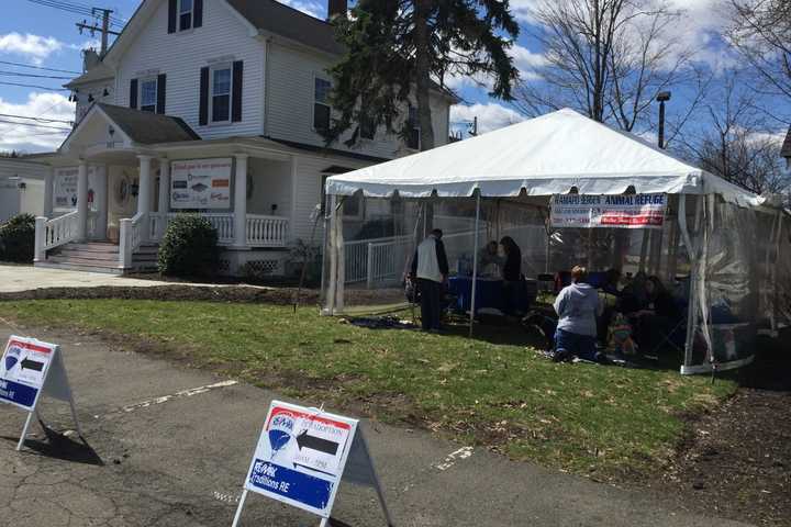 Year In Review With RE/MAX's Thomas 'Chopper' Russo