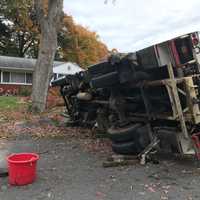 Worker Trimming Tree Branch Injured When Bucket Truck Rolls Over, Police Say