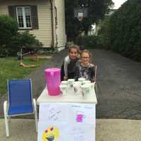 <p>Ahuva, left, and Yocheved were jumping for joy when police officers showed up to their lemonade stand.</p>