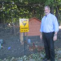 <p>Rabbi Steven Kane stands in front of CSI's new chicken farm.</p>