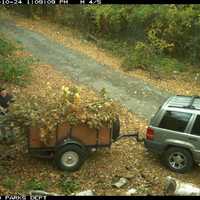 Seven Nabbed For Illegal Dumping In Western Mass