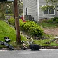 <p>An Optimum box on the utility pole was damaged.</p>