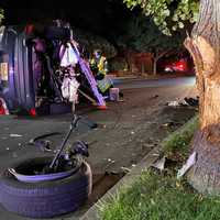 SUV Full Of Corn Snacks Slams Into Tree, Rolls In Ridgewood