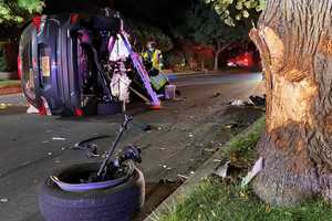 SUV Full Of Corn Snacks Slams Into Tree, Rolls In Ridgewood