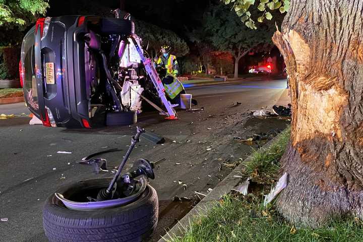 SUV Full Of Corn Snacks Slams Into Tree, Rolls In Ridgewood