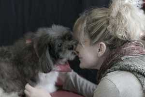 Mahwah Business Woman Aids Families With Sick Pets