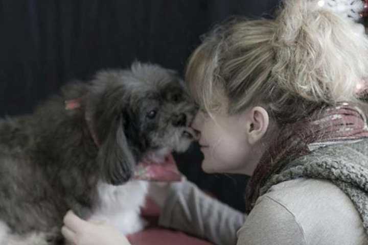Mahwah Business Woman Aids Families With Sick Pets