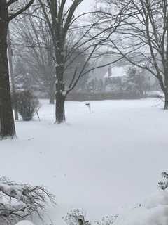 With Record Temps Yielding To Steady Snow, Fairfield Hunkers Down