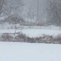 <p>Goldens Bridge gets snowed in on Saturday.</p>