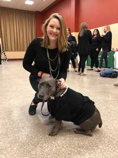 Bergen County Rescue Dog Eases Pain Of Sexual Assault Victim, 20