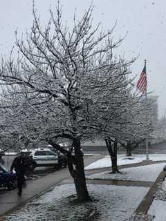 Friday Storm Drops 5.3 Inches Of Snow On New Canaan