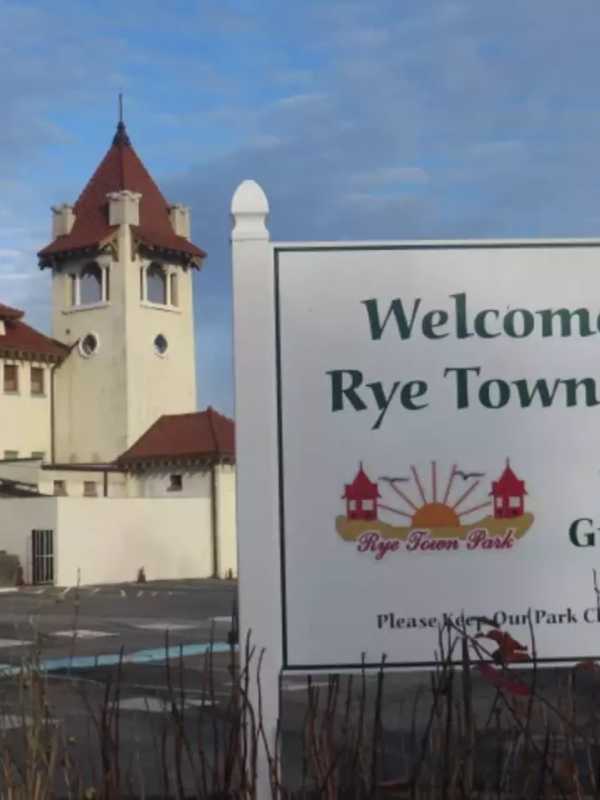 Ocean Grille Opening Wednesday In Rye