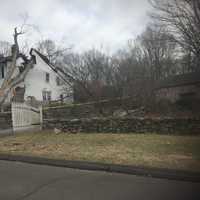 <p>A large tree fell into this house on Grumman Hill Road in Wilton during the Nor&#x27;easter.</p>