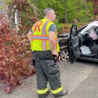 Driver Hospitalized After SUV Slams Into Tree In Ridgewood