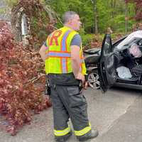 <p>The Chevy Trax hit the tree on Lakeview Drive in Ridgewood shortly after 5 p.m. Friday, April 28.</p>