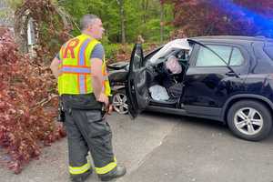 Driver Hospitalized After SUV Slams Into Tree In Ridgewood