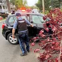 <p>The Chevy Trax hit the tree on Lakeview Drive in Ridgewood shortly after 5 p.m. Friday, April 28.</p>