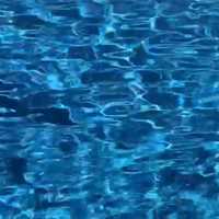 ‘Disregard For Rules’ Closes Hawthorne Pool After Bacteria Spike, Officials Say