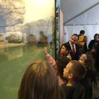 <p>Mayor Joe Ganim watches a school group check out the new penguins at Beardsley Zoo in Bridgeport.</p>