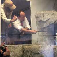 <p>Bridgeport Mayor Joe Ganim gets up close and personal with the denizens of the new penguin exhibit at the Beardsley Zoo.</p>