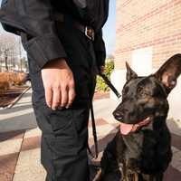 <p>Clarkstown K-9 Remy and Officer Reekie</p>