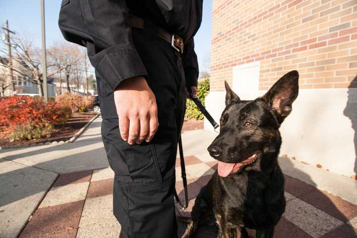 Clarkstown Police K-9 Dedicated In Honor Of 9/11 Fallen Hero