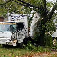 Truck Topples Utility Pole, Hits Tree In Fair Lawn