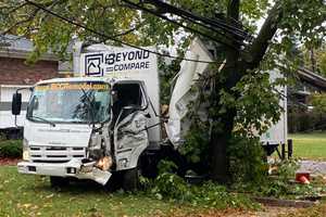 Truck Topples Utility Pole, Hits Tree In Fair Lawn