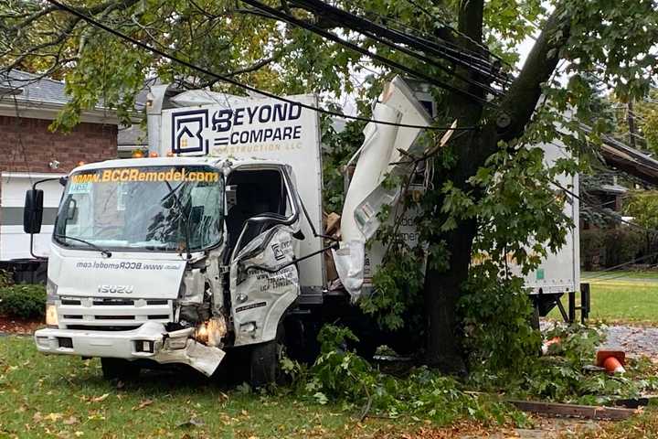 Truck Topples Utility Pole, Hits Tree In Fair Lawn