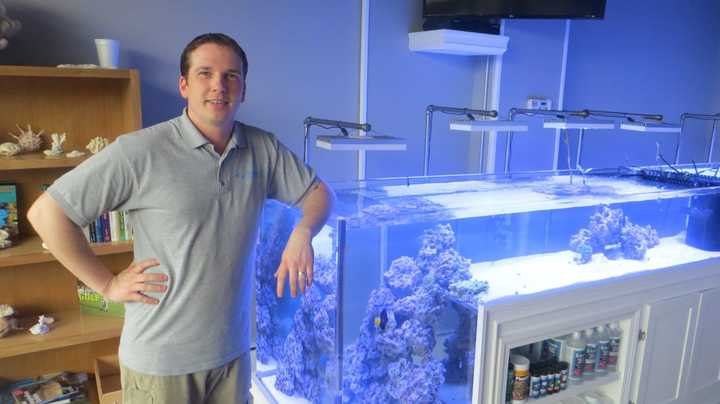 Sean Hofer, proprietor of Gills Aquarium Store, plans a grand opening celebration this weekend in Mamaroneck.