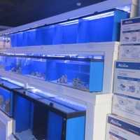 <p>There are rows and rows of fish and coral to choose from at Gills Aquarium Store in Mamaroneck. The store at 525 N. Barry Ave. is celebrating its grand opening on Saturday and Sunday, March 25-26.</p>