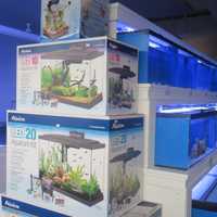 <p>Gills store owner Sean Hofer said his fish tanks sell for as little as $40 to as much as $10,000 for commercial clients like restaurants and offices.</p>