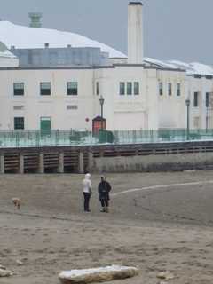 Blizzard Brings Beauty To Beach's Boardwalk At Rye Playland