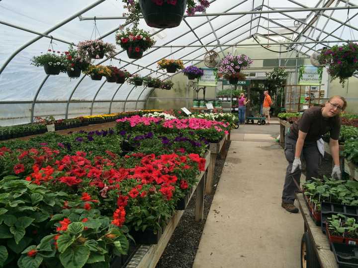 Gilbertie&#x27;s Herb and Garden Center in Westport