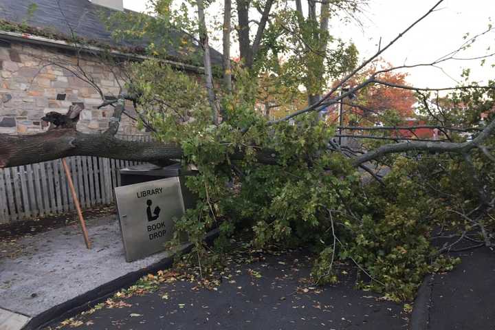 When Will The Power Be Back On In Westport? Eversource Releases List