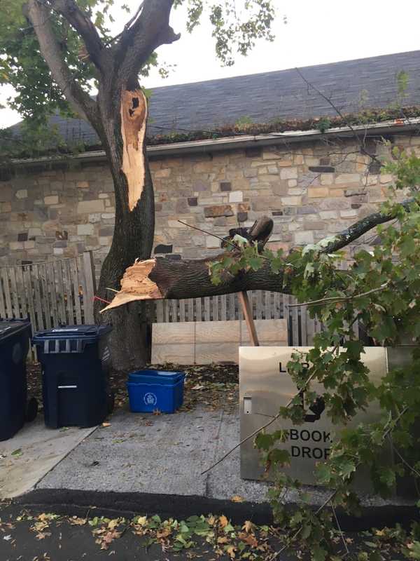 Power Outages Stretch Into Second Day In Weston, Westport