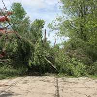 <p>Downed trees across Putnam hampered power restoration.</p>