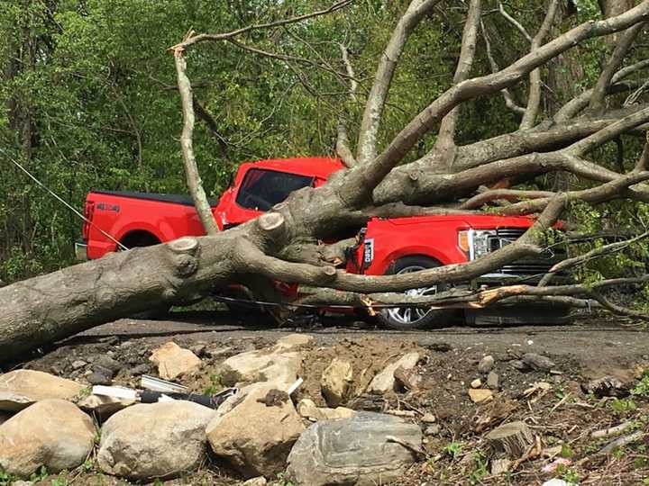 A truck is destroyed by a tree on Cottage Road in Carmel.