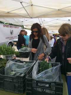 Westport Farmers Market Toasts Its 11th Season As A Community Hub