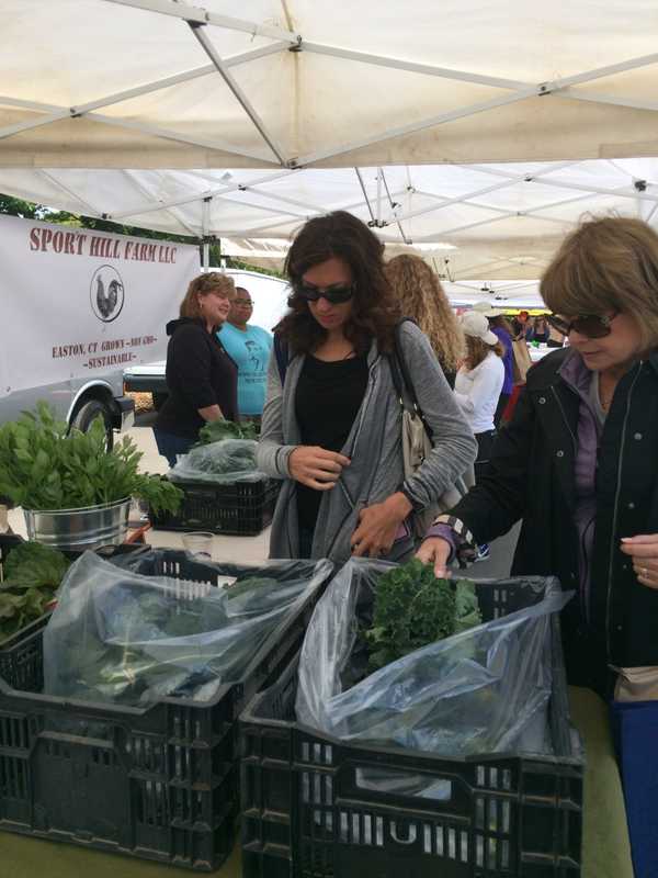 Westport Farmers Market Toasts Its 11th Season As A Community Hub