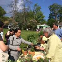 <p>Nancy Moore sells an aloe plant to a customer on the first day of the 2016 Trumbull Farmers Market season.</p>