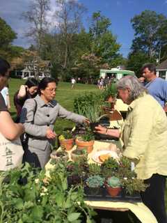 Fresh State Produce Stars At Trumbull Farmers Market