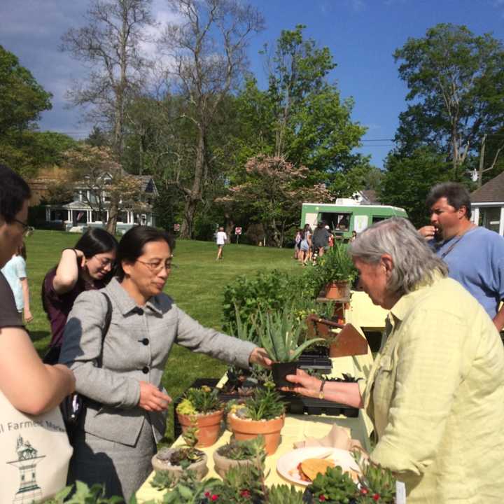 Nancy Moore sells an aloe plant to a customer on the first day of the 2016 Trumbull Farmers Market season.