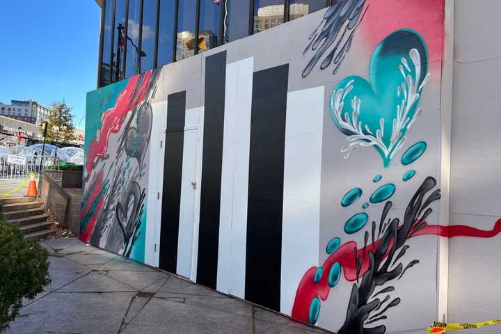 New Mural By Northern Westchester Artist Adorns Soon-To-Be-Converted Galleria Mall Space