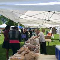 <p>Vendors sell bread, fresh fish, veggies and more at the Trumbull Farmers Market.</p>